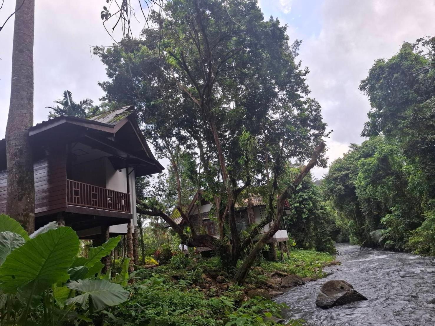 Tree Tops River Huts Khao Sok National Park Экстерьер фото
